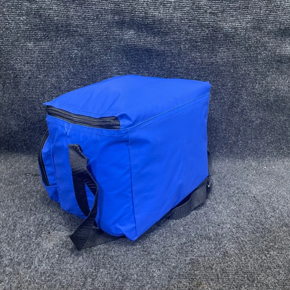 California Innovations Collapsible Blue MusiCooler AM FM‎ Radio Aux Speaker Bag